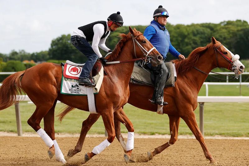 How to Watch Belmont Stakes 2023 live stream, Triple Crown Race for